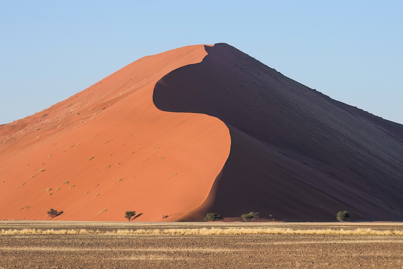 Dune 45 at sunrise in Sossusvlei, Namib desert, Namibia